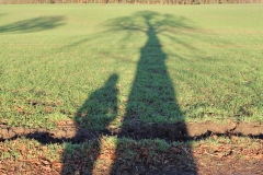 blick-ueber-feld-goehren-lebbin-herbst