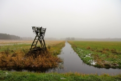 hochstand-goehren-lebbin-herbst