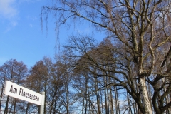 schild-strasse-am-fleesensee-herbst